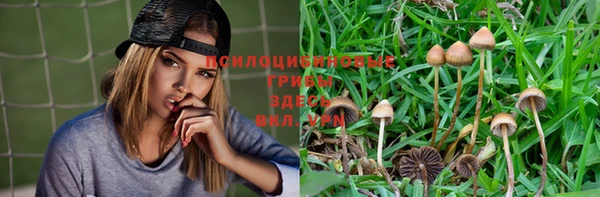 герыч Кинешма