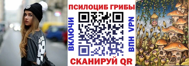 кракен   Карталы  Псилоцибиновые грибы Magic Shrooms 